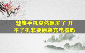 魅族手机突然黑屏了 开不了机非要原装充电器吗